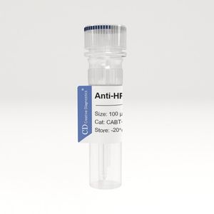 Mouse Anti-Vaccinia virus (VACV/VV/small pox) B5R protein Monoclonal Antibdy, clone 22F456