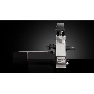 STELLARIS 8 STED Microscope