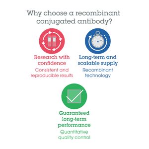 Cal-520, AM(AB171868)