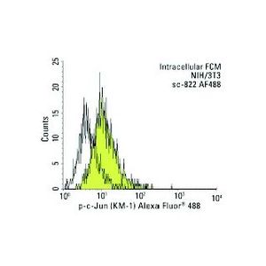 p-c-Jun (KM-1) Alexa Fluor® 680