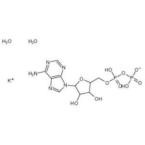 Adenosine 5′-Diphosphate Potassium Salt