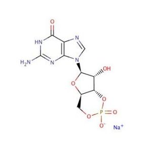 Guanosine 3'5'-cyclic Monophosphate, Sodium Salt