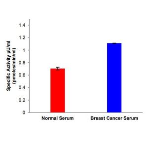 Anti-IL-6 antibody [1.2-2B11-2G10](AB9324)