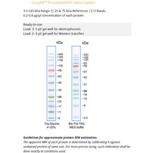CozyHi™ Prestained Protein Ladder