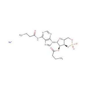 Dibutyryl-cAMP-2