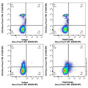 Anti-TLR4 antibody [76B357.1](AB22048)