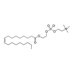 Oleyloxyethyl Phosphorylcholine