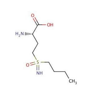 L-Buthionine sulfoximine-4