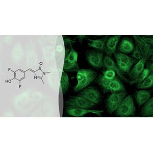 "3, 5-difluoro-4-hydroxybenzylidene imidazolinone ( DFHBI )"