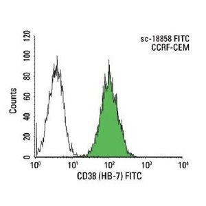 CD38 (HB-7) PE