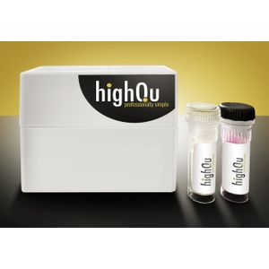 1Step RT qPCR Green ROX L Kit