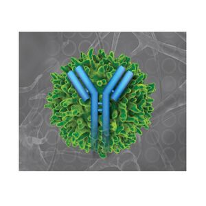 iQue® Human IgG Titer and Viability Kit