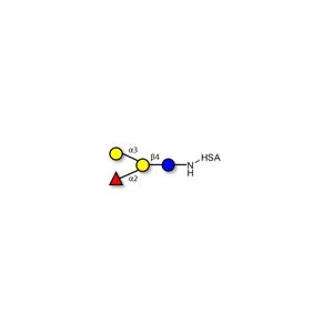 Blood group B antigen tetraose type 5 grafted on HSA