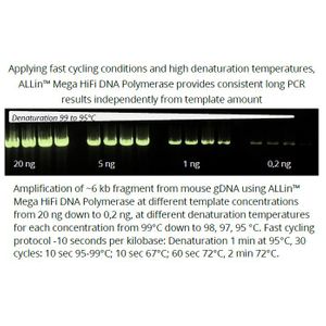 ALLin™ Mega HiFi DNA Polymerase