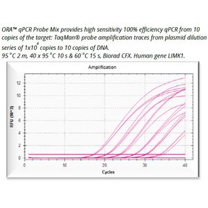 ORA™ qPCR Probe ROX L Mix