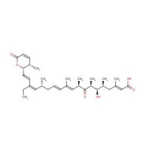 Leptomycin B, Free Acid-2