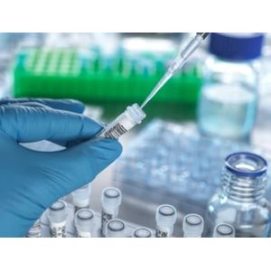 Recombinant Human PLK2 (N-GST tag)