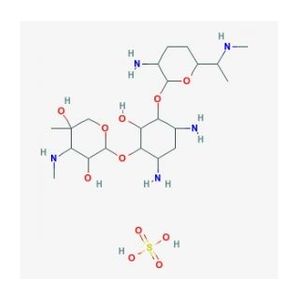 Gentamicin Sulfate, 500X Solution