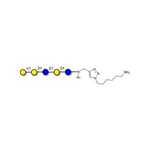 Galili antigen pentaose with free terminal amine (Linker-NH2 D)