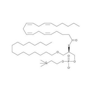 Arachidonoyl Thio-PC