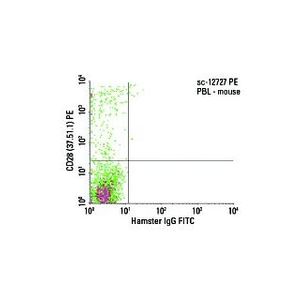 CD28 (37.51.1) FITC