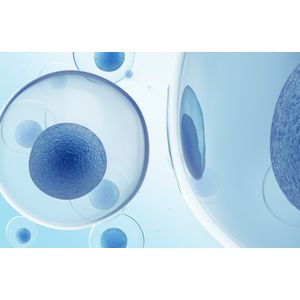 T-Store® Tissue Storage and Transportation Medium