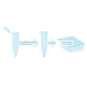 PCR Decontamination Kit