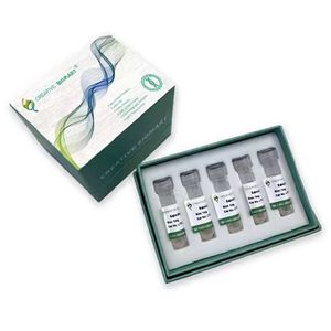 Luminescent ATP Detection Assay Kit