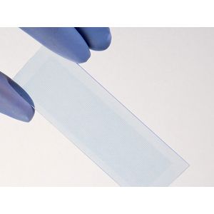 PEPperCHIP® Pan-Transglutaminase Microarray