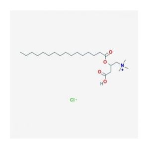 Palmitoyl-DL-carnitine chloride-2