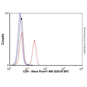 Anti-CD4 antibody [EPR6855] - BSA and Azide free
