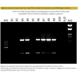 SampleIN™ Direct PCR Kit