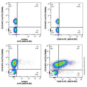 Fluo-8 Calcium Flux Assay Kit - No Wash(AB112129)