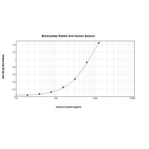 Anti-p63 antibody [EPR5701](AB124762)