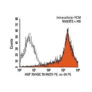 HSP 70/HSC 70 (W27) Alexa Fluor® 594