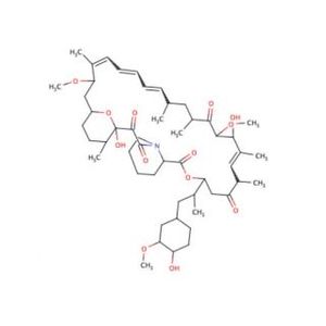 Rapamycin-2