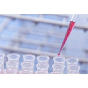 UbC Promoter Oct4 Lentivirus