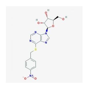 S-(4-Nitrobenzyl)-6-thioinosine (NBTI, NBMPR)