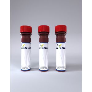 "Small interfering RNA (siRNA), Anti-Human ANAPC7"