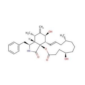 Dihydrocytochalasin B