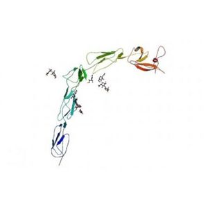 Beta-2-glycoprotein 1