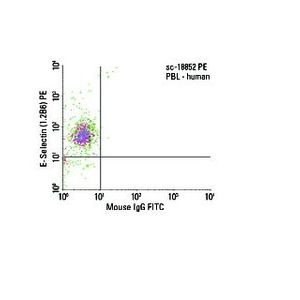 E-Selectin (1.2B6) FITC
