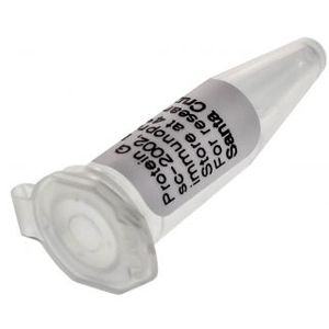 Protein G PLUS-Agarose