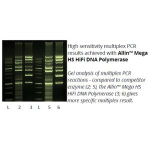 ALLin™ Mega HS HiFi DNA Polymerase
