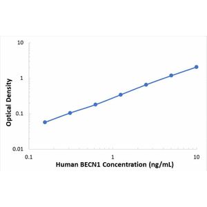 Human Beclin 1 ELISA Kit (BECN1)