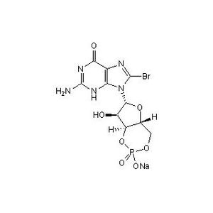 8-Bromo-cGMP-2