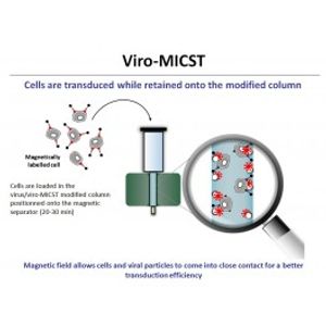 ViroMICST Stem Transduction Enhancer