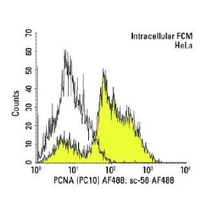 normal mouse IgG2a Alexa Fluor® 488