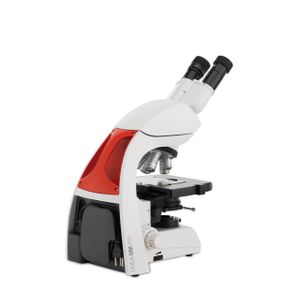 DM750 Binocular, fluorescence-capable microscope for postdocs in the life sciences