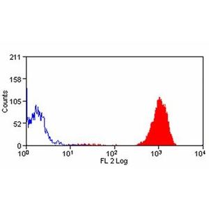 Anti-FOXP3 antibody [236A/E7](AB20034)